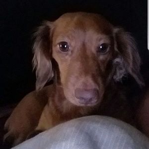 Meet your Posher, Zachary